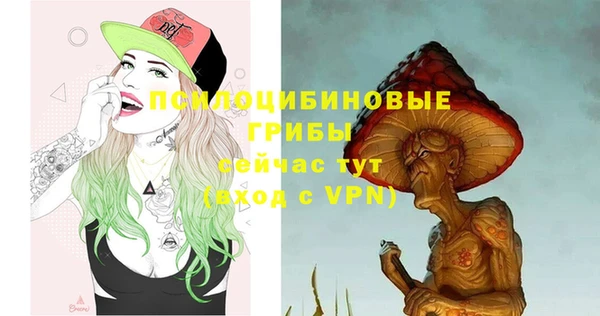 круглые Новодвинск