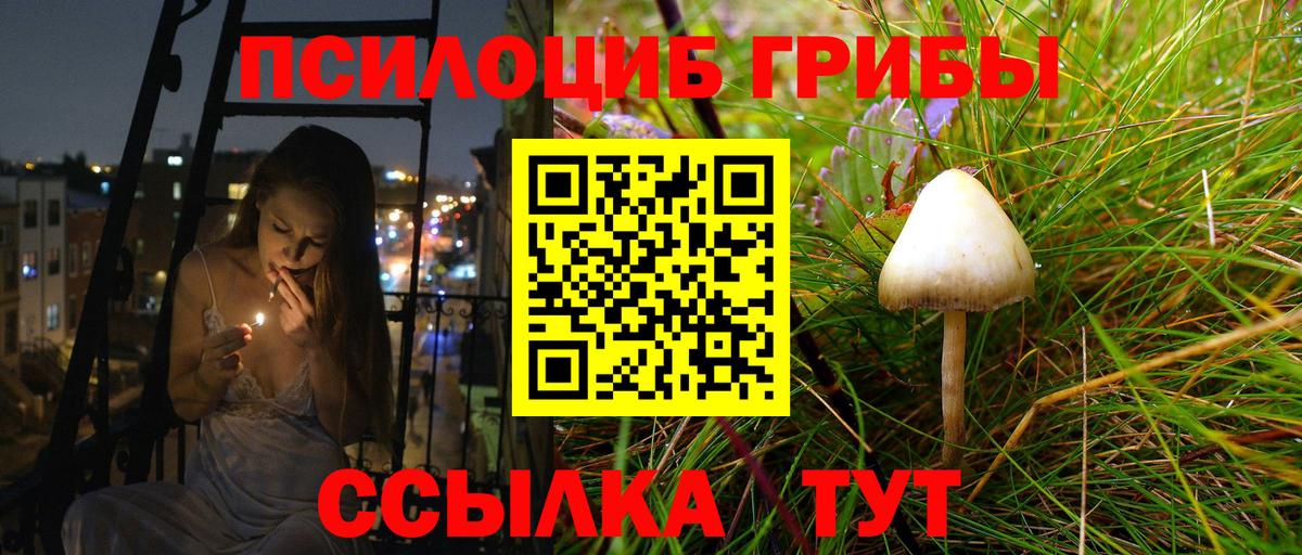 Псилоцибиновые грибы Cubensis Старая Русса