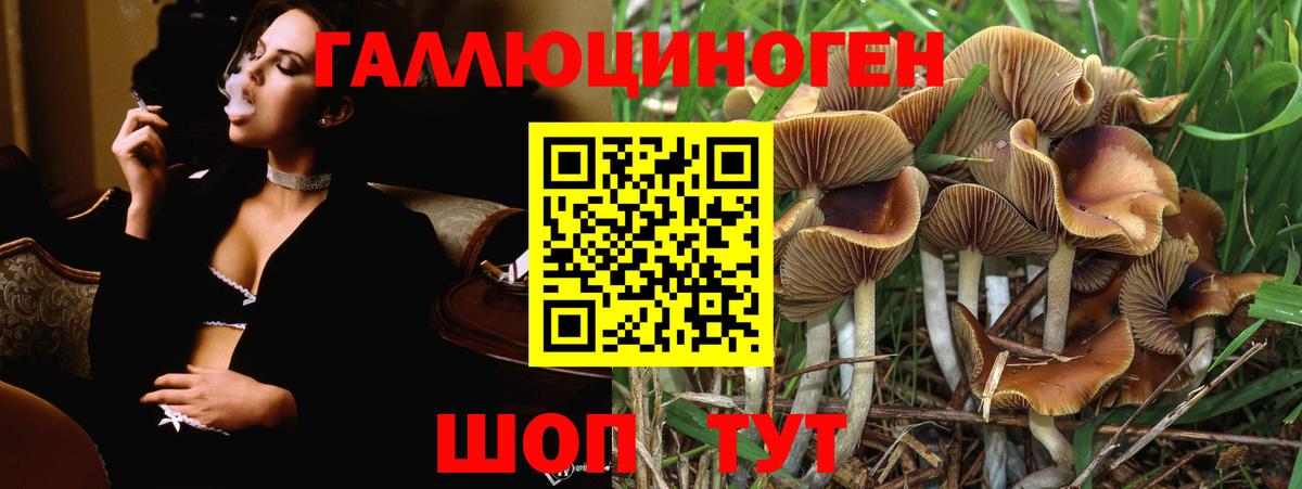 Галлюциногенные грибы Magic Shrooms  Старая Русса  Галлюциногенные грибы GOLDEN TEACHER 