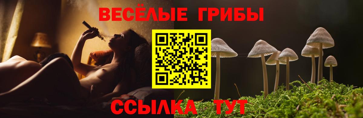 Псилоцибиновые грибы Psilocybe Старая Русса